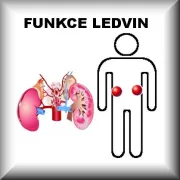 Funkce ledvin