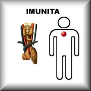 Imunita