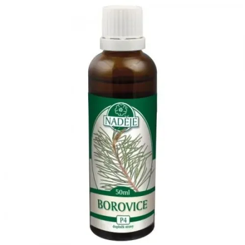 Borovice sosna 50 ml (P4)