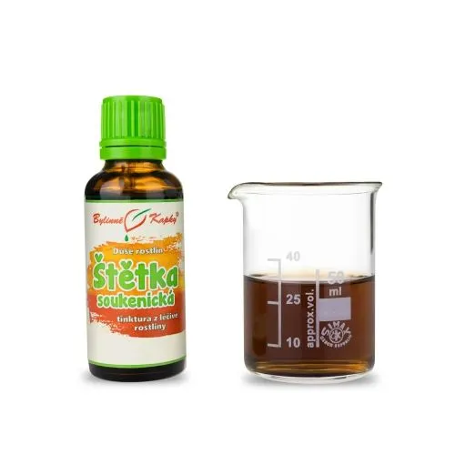 Štětka soukenická - Bylinné kapky (tinktura) Duše rostlin 30 ml