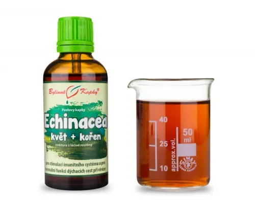 Echinacea (třapatka) kvetoucí nať + kořen (bylinné kapky - tinktura) 50 ml